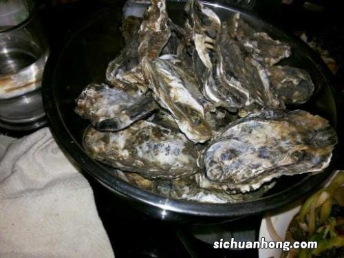 生蚝打火锅要煮多久