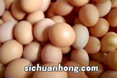 冬季饮食养生有哪些小常识?冬季养生可以吃什么食物?