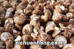 蜜橘的功效与作用有什么？蜜橘的营养价值有什么？