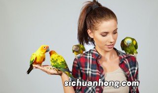 鹦鹉在冬季的注意事项 鹦鹉在冬季的注意事项有哪些