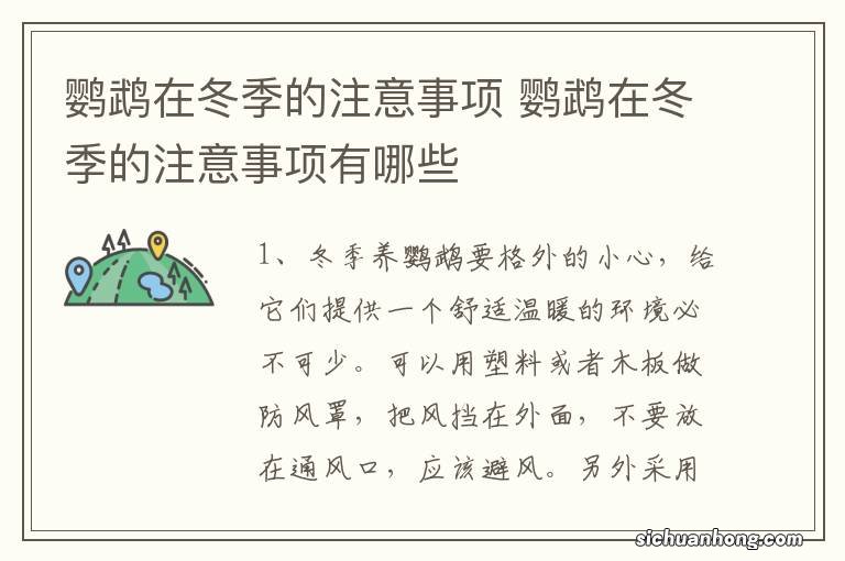 鹦鹉在冬季的注意事项 鹦鹉在冬季的注意事项有哪些