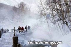 雪斗的意思是什么意思