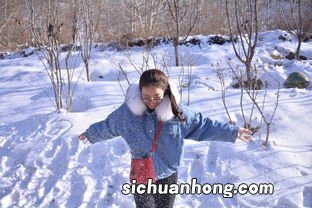 雪斗的意思是什么