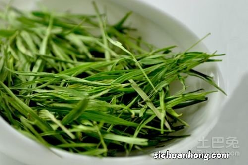 选用什么季节竹叶泡茶