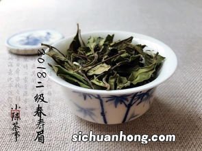 寿眉搭配什么泡