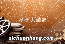 孝子大结局 孝子结局是什么