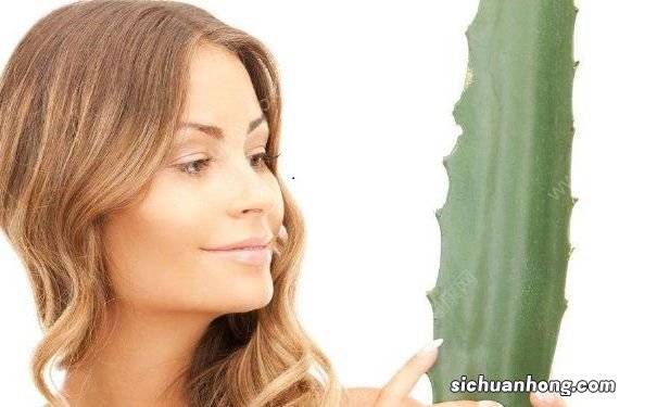 芦荟的功效有哪些？芦荟如何去痘疤？