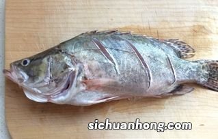 狗杠鱼什么季节产籽