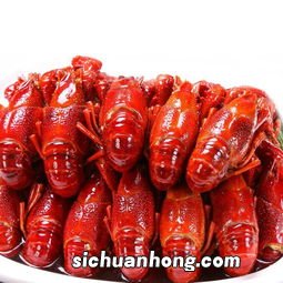 吃龙虾 和什么水果不能一起吃