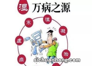 体内湿气大吃什么好