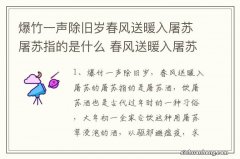 爆竹一声除旧岁春风送暖入屠苏屠苏指的是什么 春风送暖入屠苏中屠苏所指简述