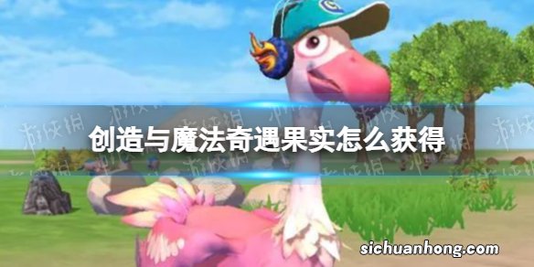 创造与魔法奇遇果实怎么获得 创造与魔法奇遇果实获取攻略