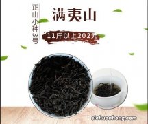 山野茶属什么茶