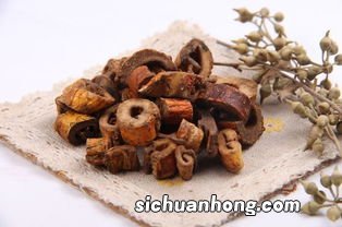 桑白皮有什么作用