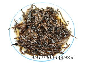 普洱 金芽 是什么