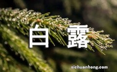 白露时节吃什么好