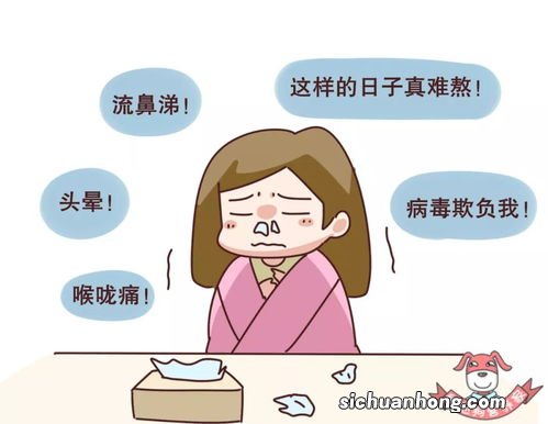 热伤风感冒吃什么食物