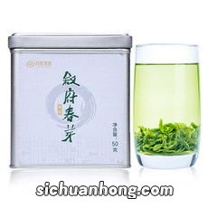 高山春芽是什么茶