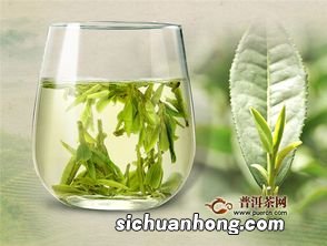 高山春芽是什么茶