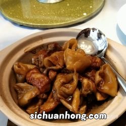 花胶什么汁扒才好吃