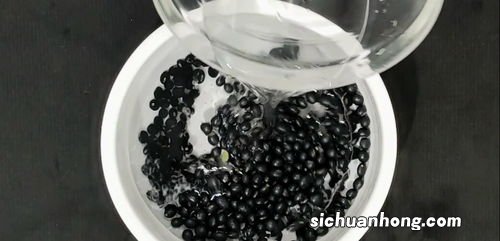 黑豆泡多久可以炖汤