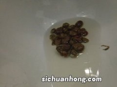 什么食物治疗大便干燥