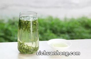 布尖是什么茶