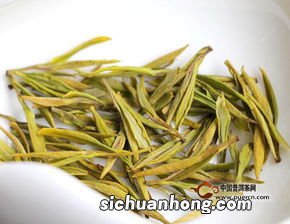 安吉黄金芽是什么茶