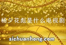 杨夕花彪是什么电视剧 杨夕和花彪是什么电视剧 花彪是什么电视剧什么的