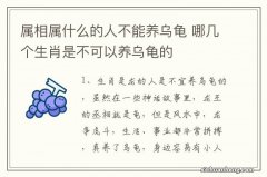 属相属什么的人不能养乌龟 哪几个生肖是不可以养乌龟的