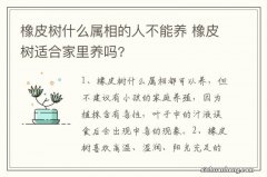 橡皮树什么属相的人不能养 橡皮树适合家里养吗?