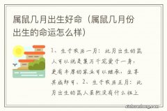 属鼠几月份出生的命运怎么样 属鼠几月出生好命