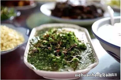 双江还有什么茶