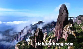 三清山有什么茶叶