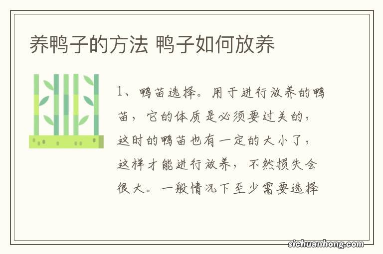 养鸭子的方法 鸭子如何放养