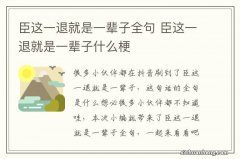 臣这一退就是一辈子全句 臣这一退就是一辈子什么梗