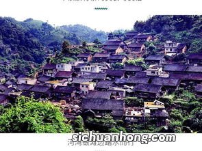 贵阳丹寨有什么茶