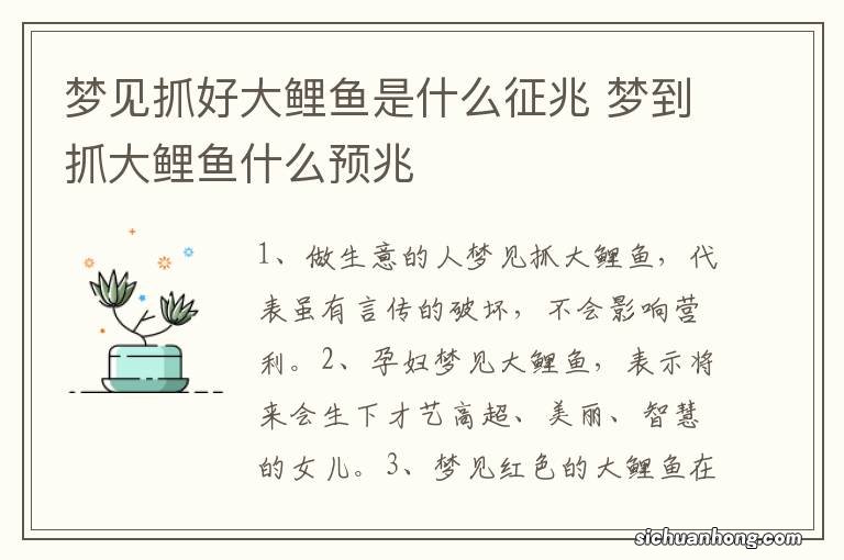 梦见抓好大鲤鱼是什么征兆 梦到抓大鲤鱼什么预兆