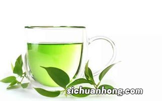 泡绿茶什么茶壶最好