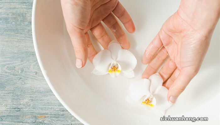 兰花在什么季节的什么时候开花