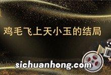 鸡毛飞上天小玉的结局 鸡毛飞上天小玉的结局是什么