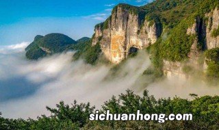 金佛山旅游最新攻略 金佛山旅游最新攻略自己玩