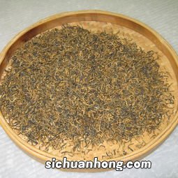 悟道茶是什么种类的