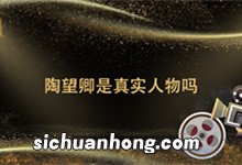 陶望卿是真实人物吗 陶望卿介绍