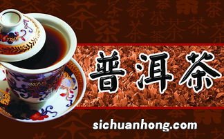 普洱茶珍品是什么意思