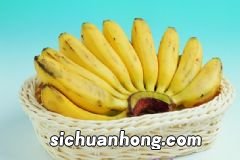 小孩吃什么食物能更加聪明?小孩子应该多吃什么食物?