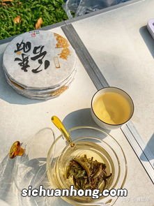 送人送茶什么牌子好