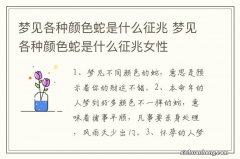 梦见各种颜色蛇是什么征兆 梦见各种颜色蛇是什么征兆女性