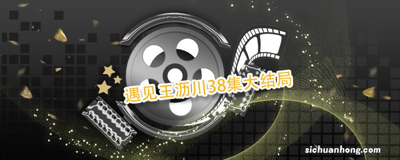 遇见王沥川38集大结局 遇见王沥川38集大结局剧情