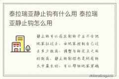 泰拉瑞亚静止钩有什么用 泰拉瑞亚静止钩怎么用